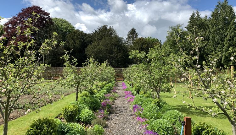 Oakley Hall Hotel gardens springing into life